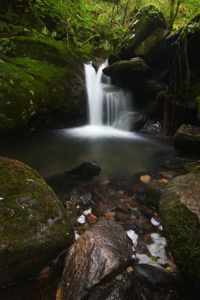 Фотография автора Laura Baratas