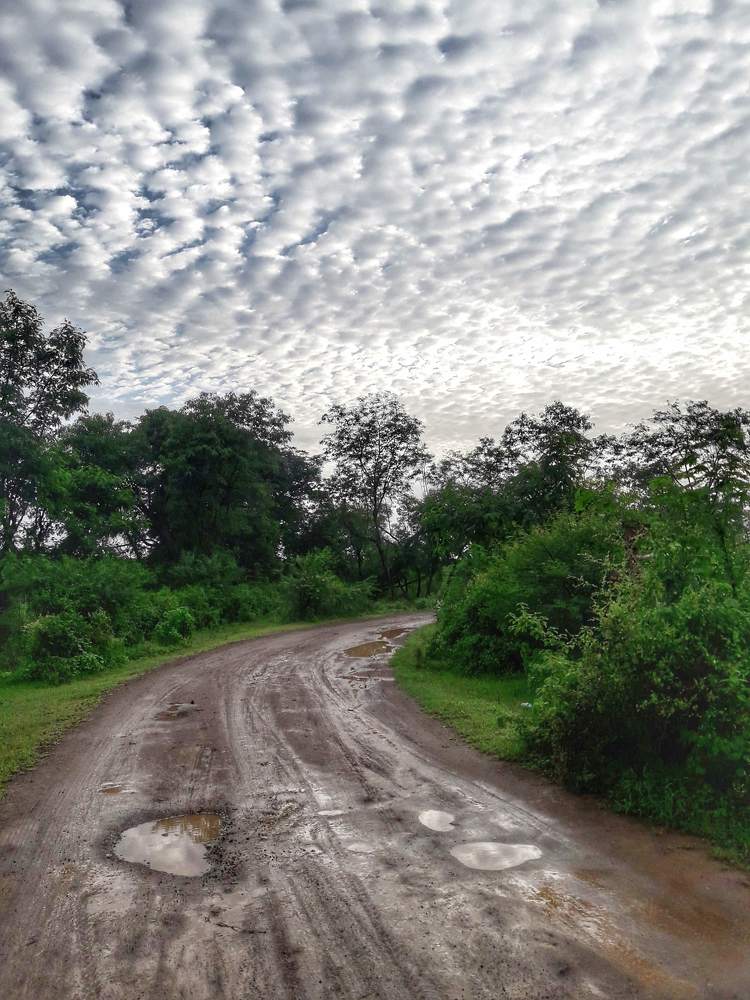 Photograph by Chintan Vyas