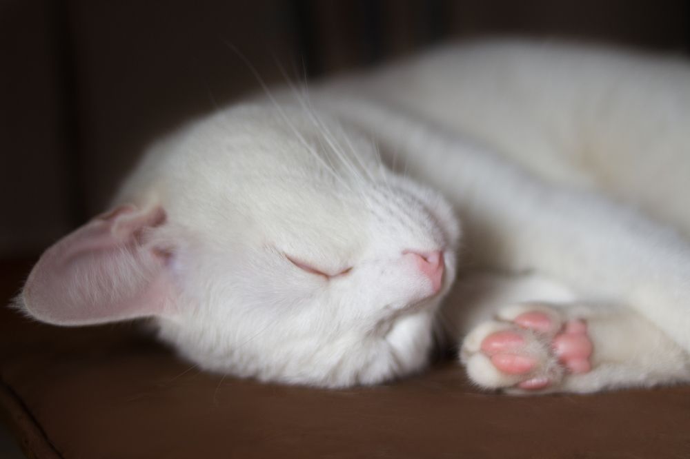 Photograph by Наталья Кузнецова