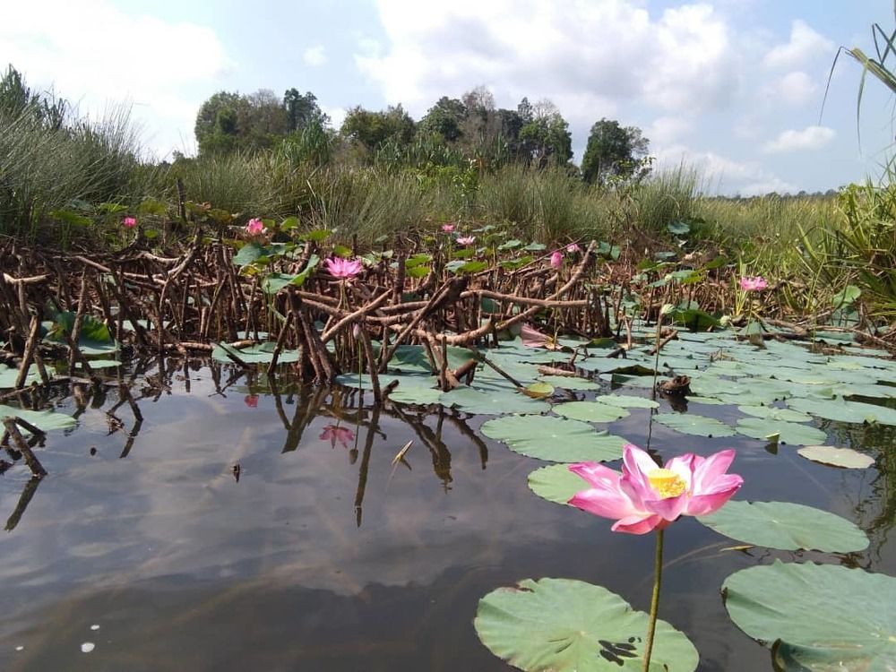 Photograph by Muton Anak kais