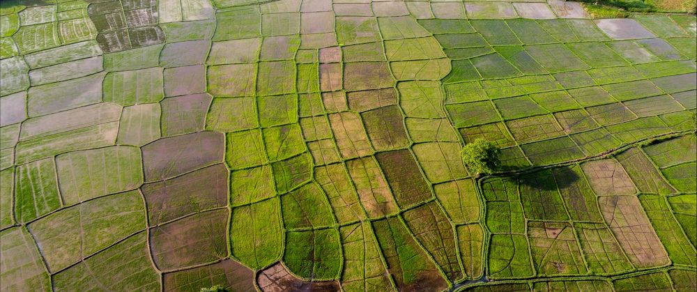 Photograph by Indunil Madusanka