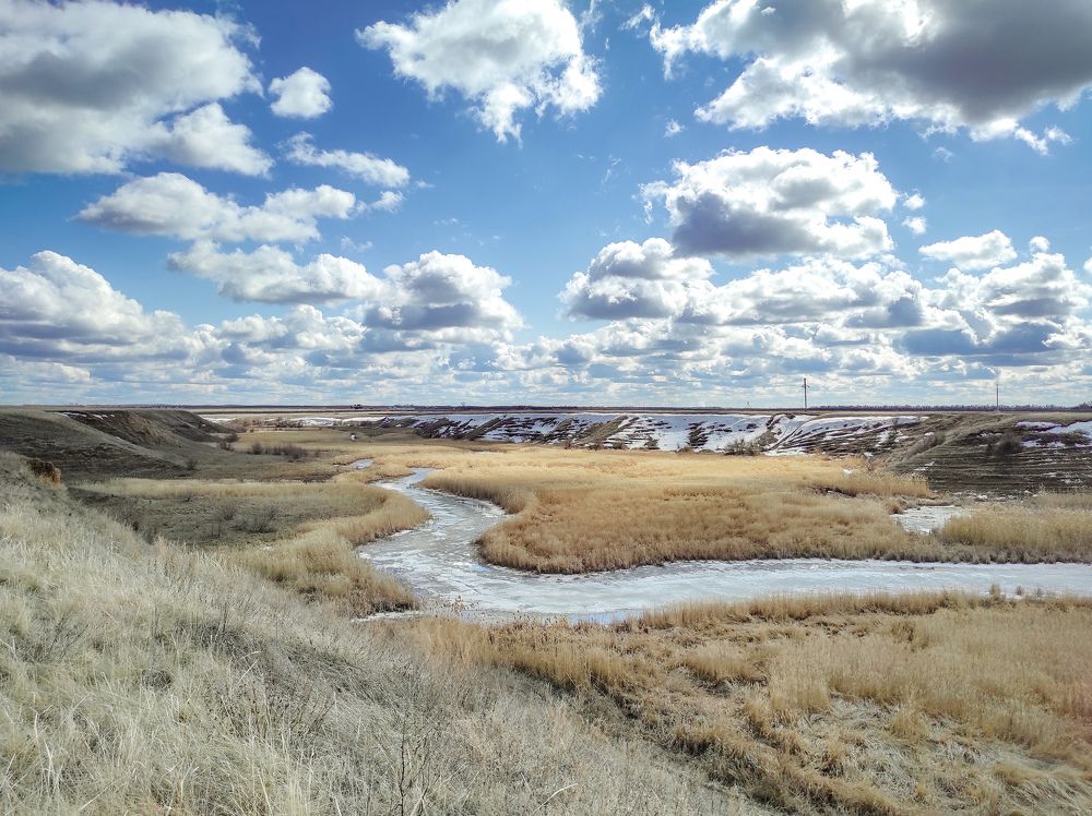 Photograph by Светлана Шибаршина