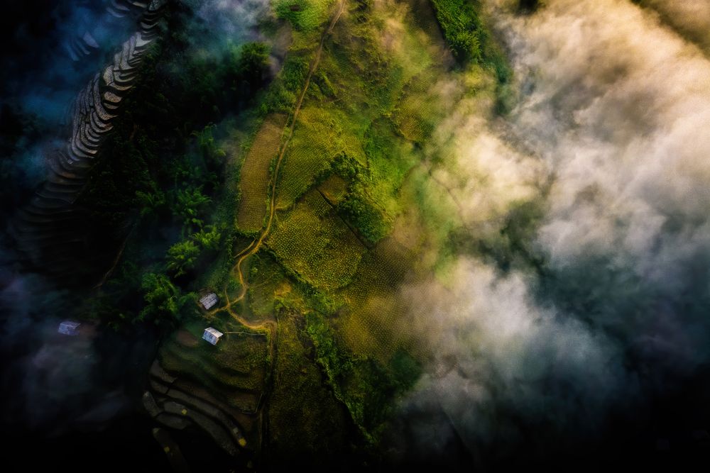 Photograph by Ngoc Minh Nguyen The