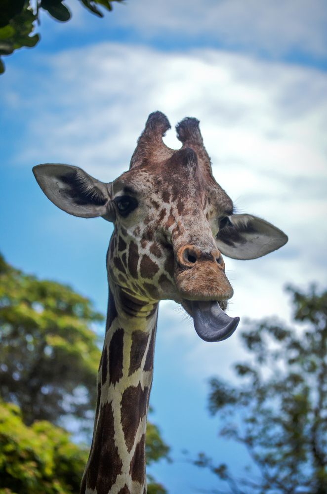 Photograph by Ravindu Attanayake