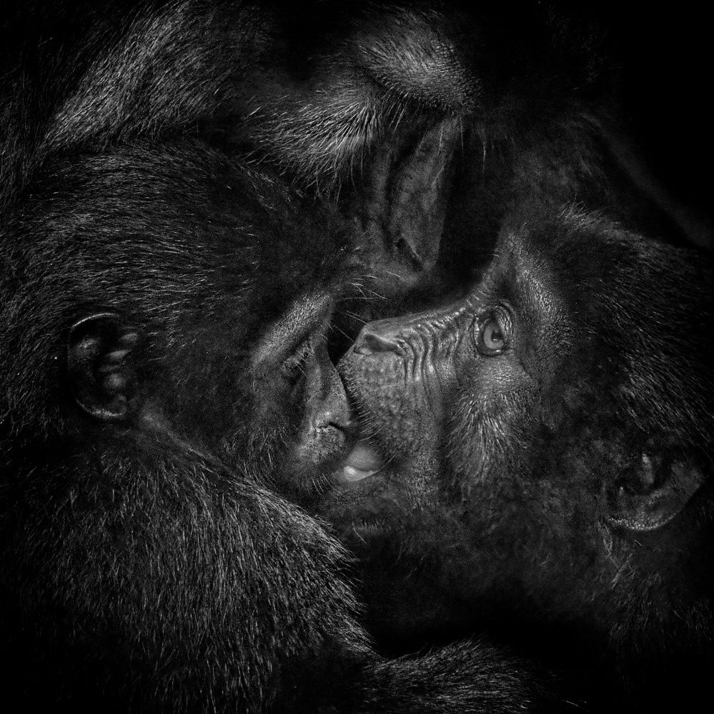 Photograph by Putra Igo