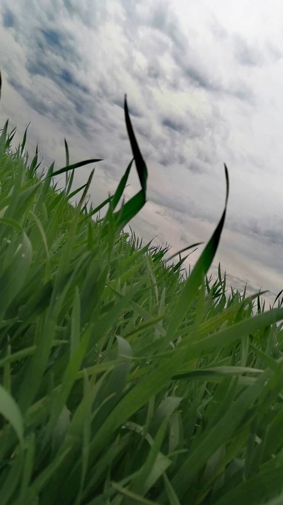 Photograph by Елена Лепешкина