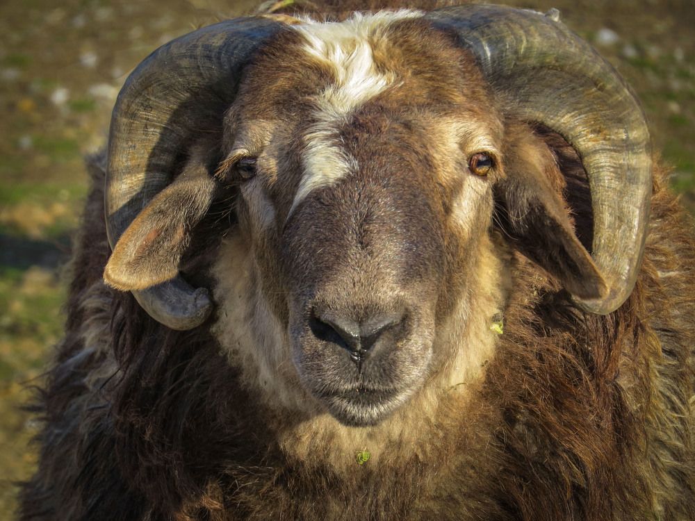 Photograph by Нина Будникова