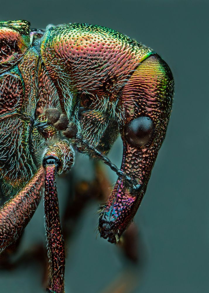 Photograph by Иван Радьков