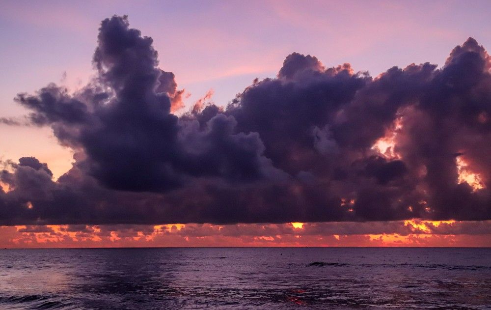 Photograph by Ninan John