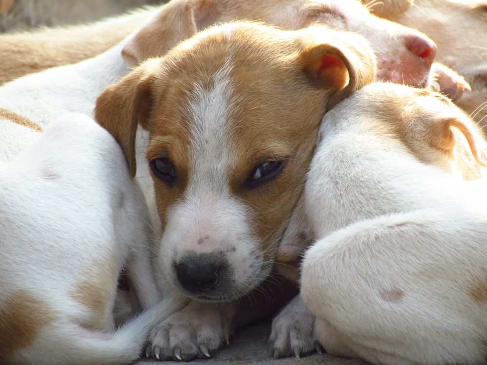 Photo #6139169