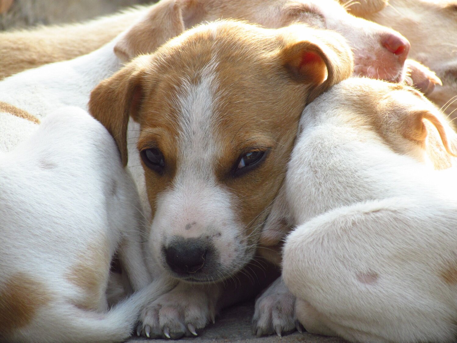 Photo #6139169