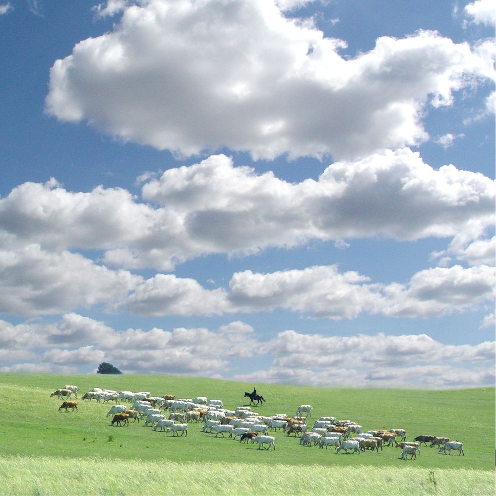 Photograph by Олег Машковский