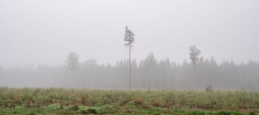 Photograph by Urmas Lind