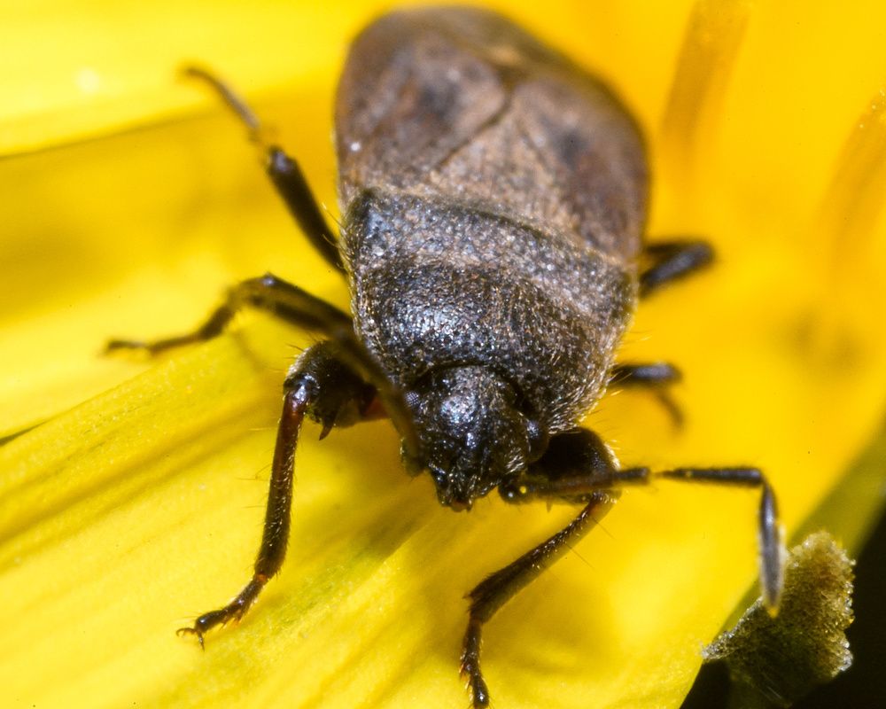 Photograph by Владимир Корчемкин