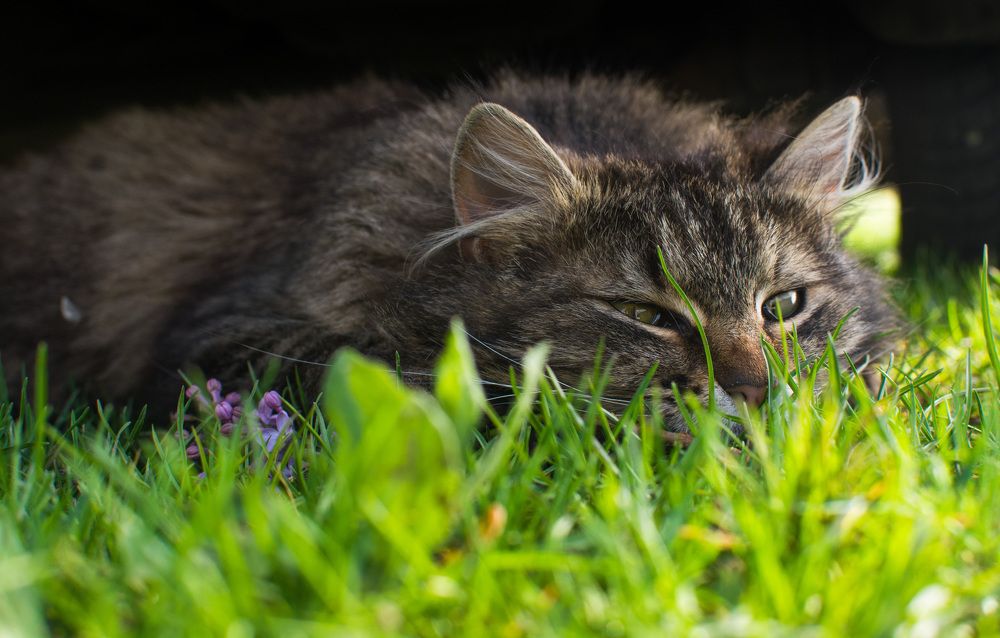 Photograph by Ana-Maria Tatarus