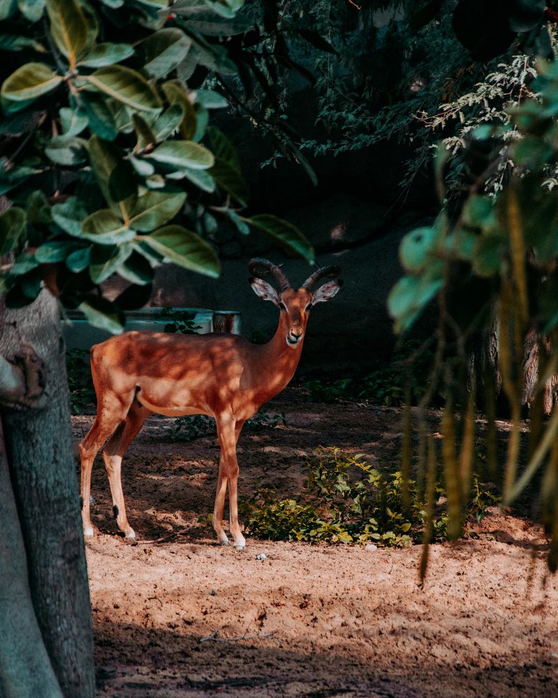 Photograph by  Яна