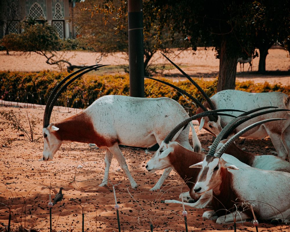 Photograph by  Яна