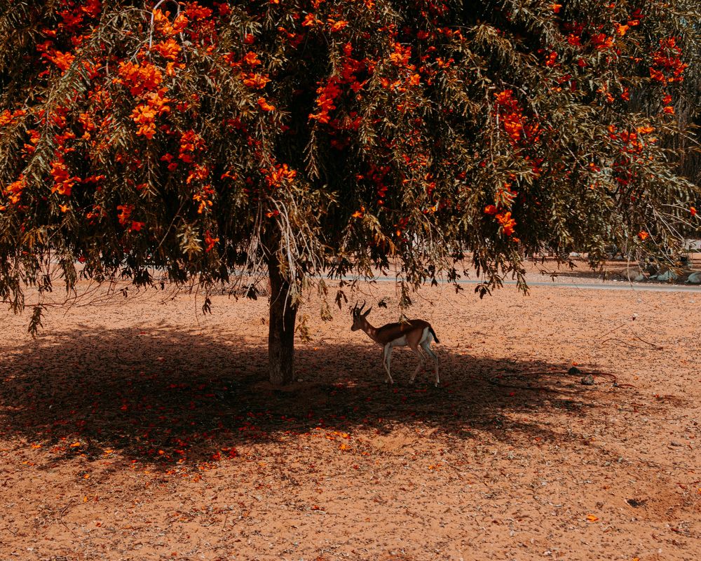 Photograph by  Яна