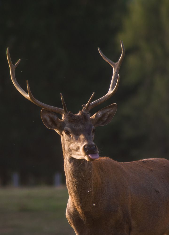 Photograph by Ana-Maria Tatarus