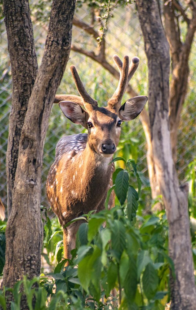 Photograph by SREE DIVYA NAIR