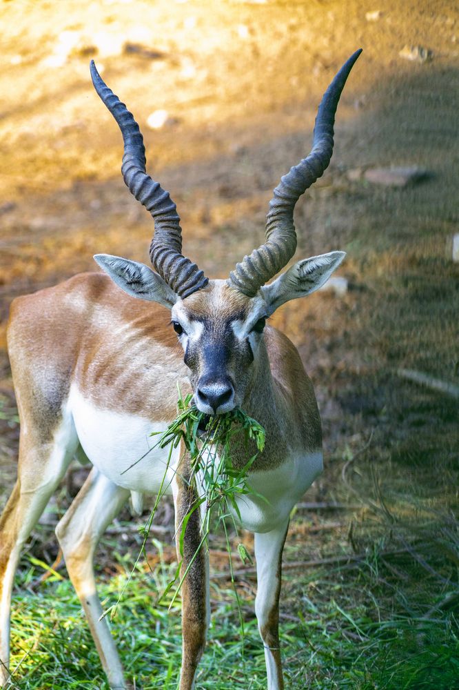 Photograph by SREE DIVYA NAIR