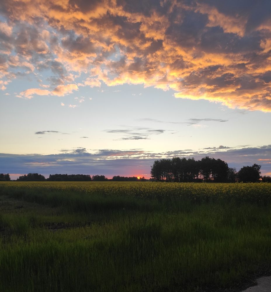 Photo #6139340