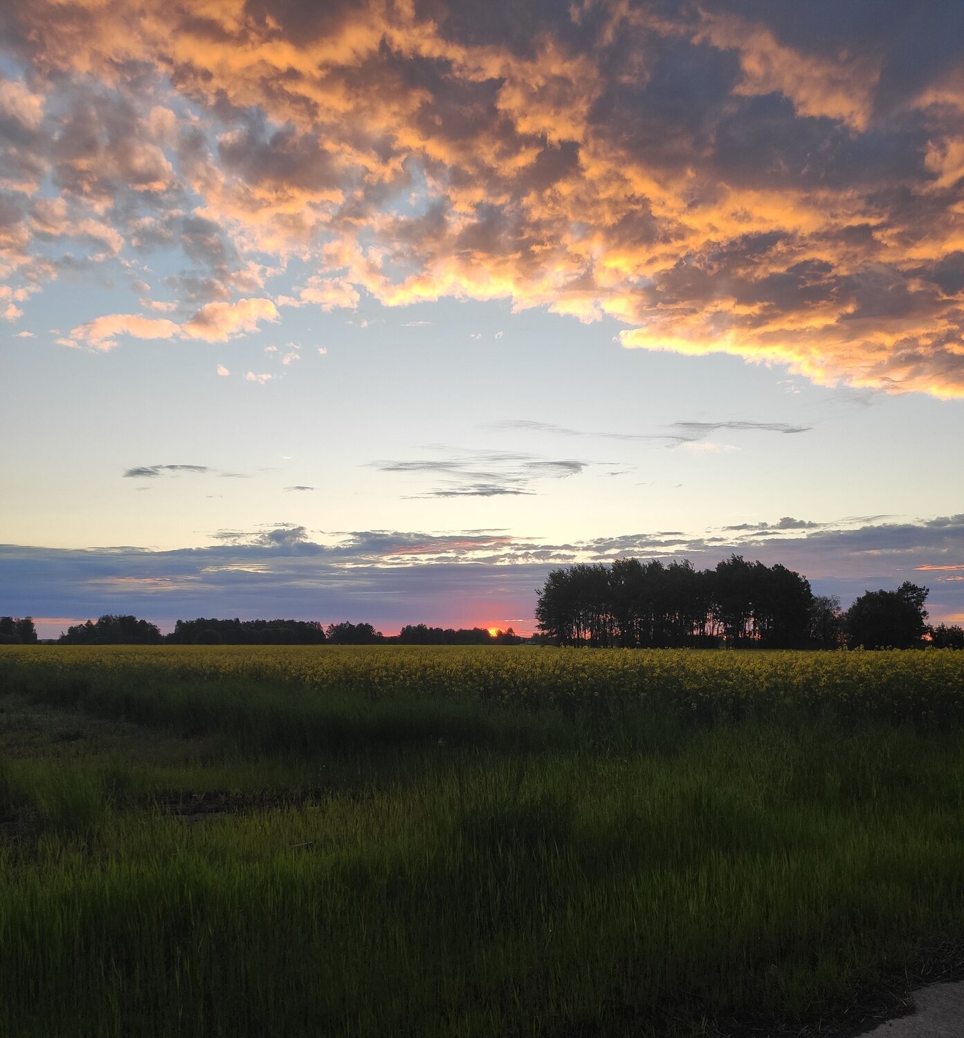 Photo #6139340