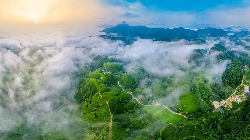 clouds overflowing tea hills