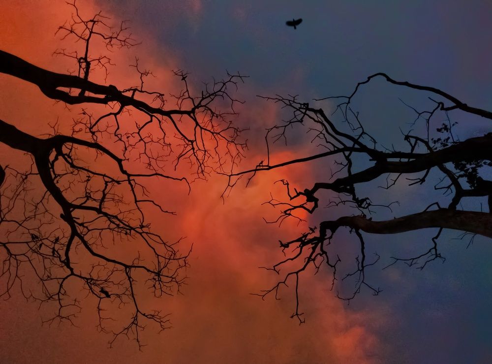 The desire to merge.