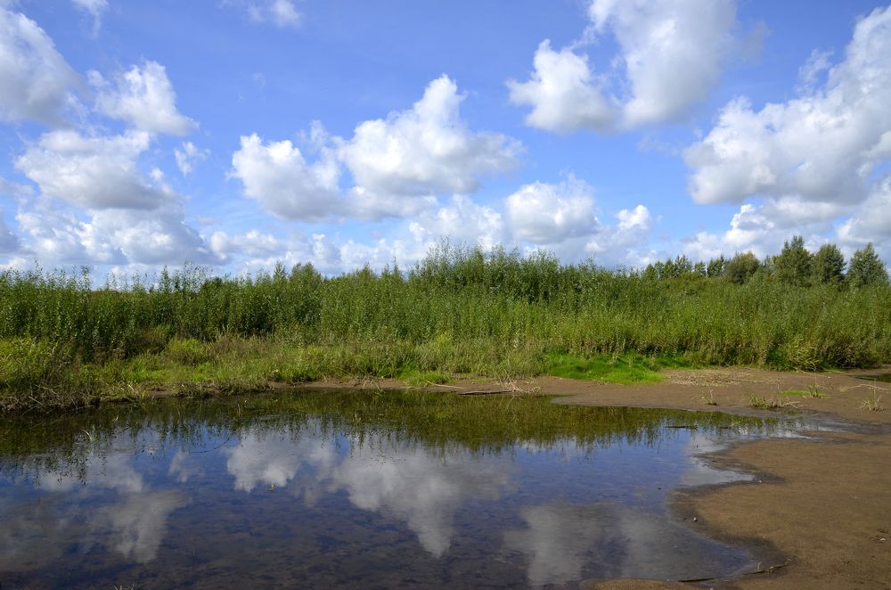 Настроение