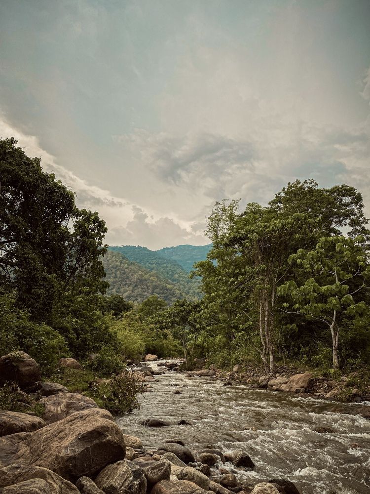 Photograph by Aasish Kumar Rajendran