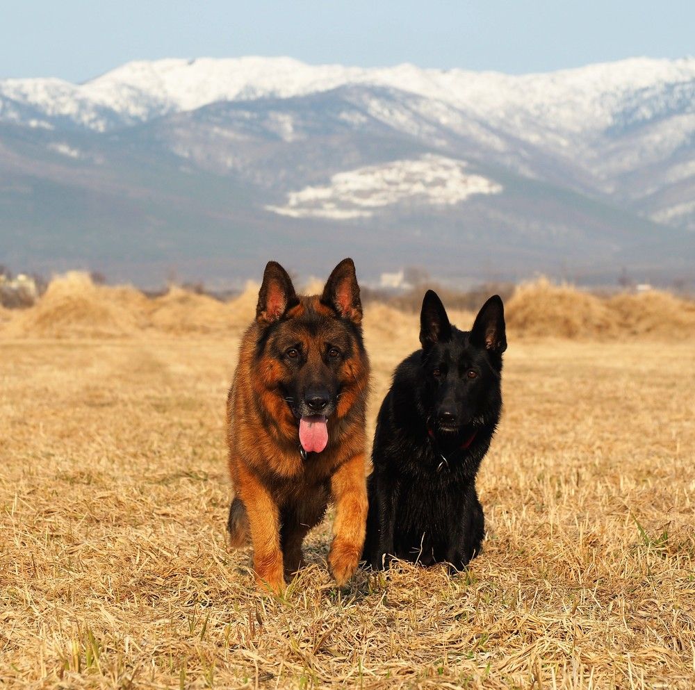 Photograph by Наталья Васильева