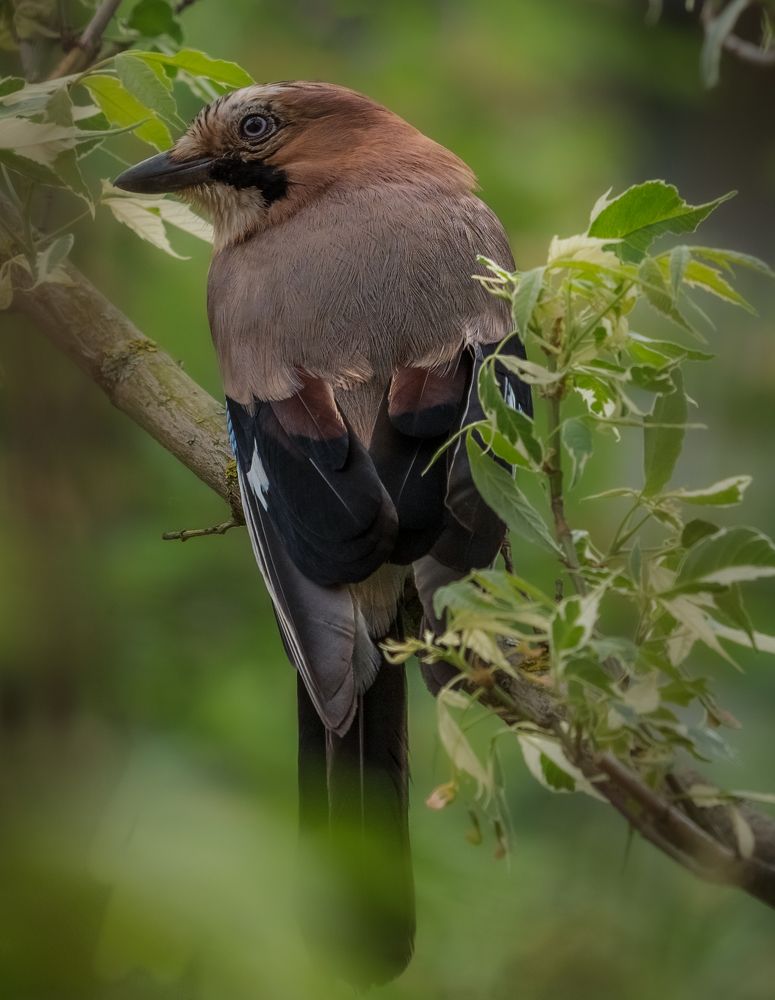 Photograph by Курлянцев Алексей