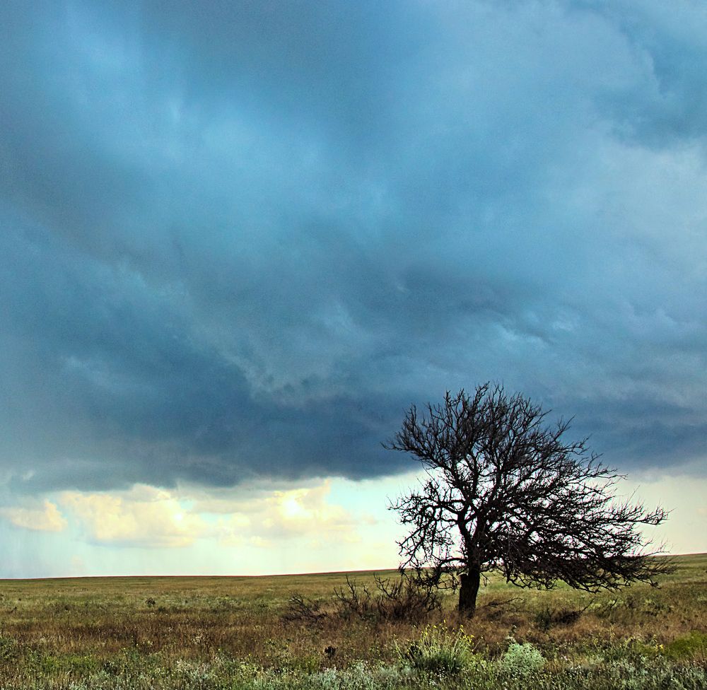 Photograph by  AlexSa