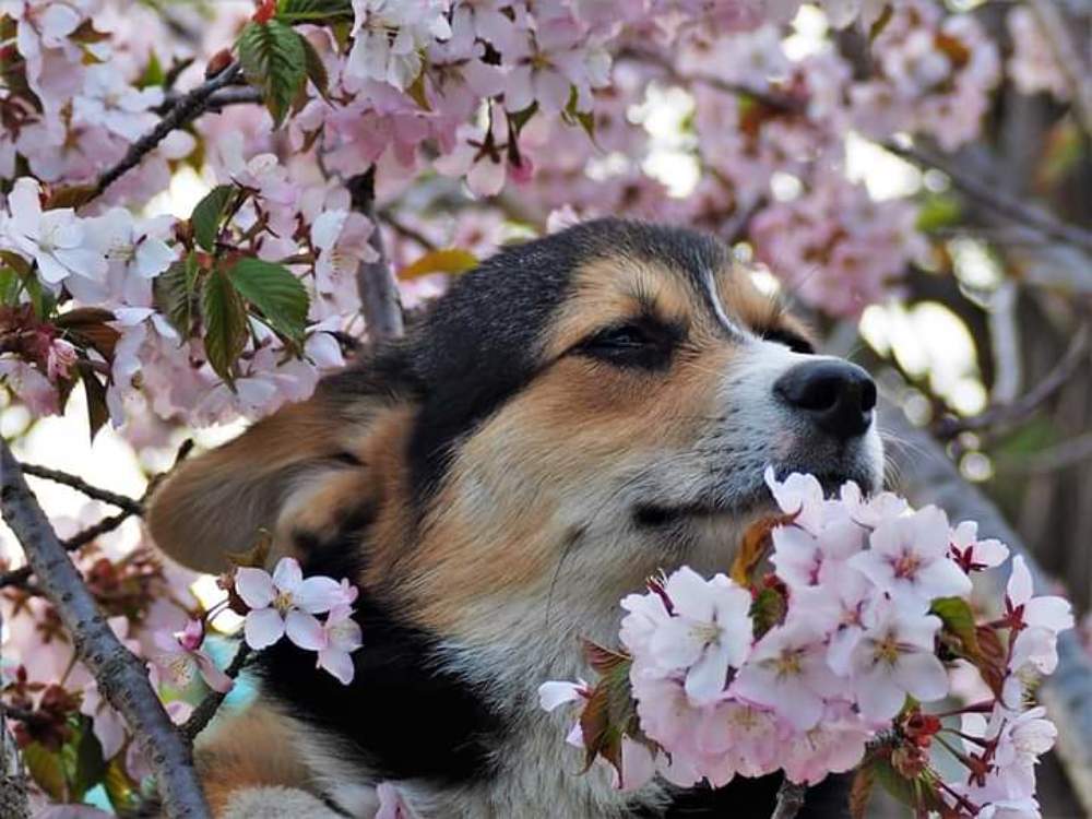 Photograph by Наталья Васильева