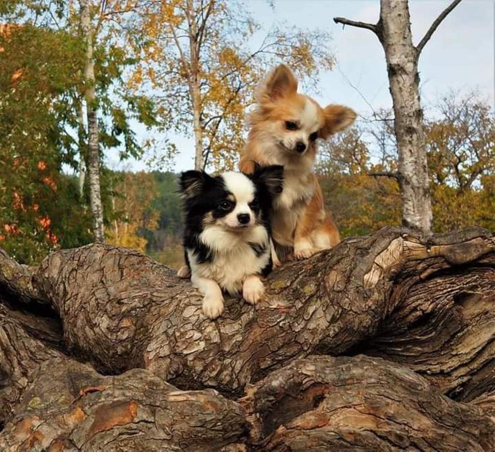 Photograph by Наталья Васильева