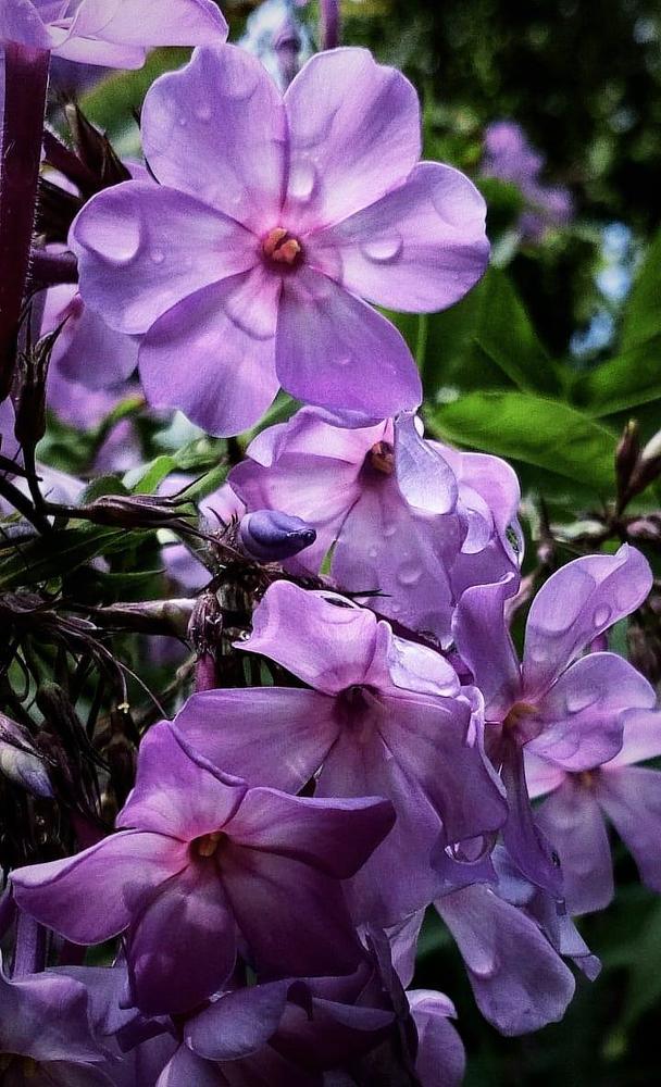 Фотография автора Eleonora