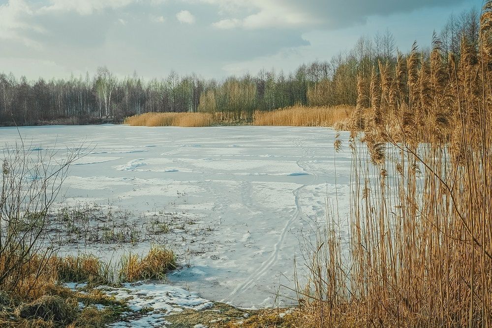 Фотография автора Ольга Забрянская