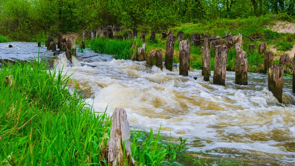 Фотография автора Ольга Забрянская