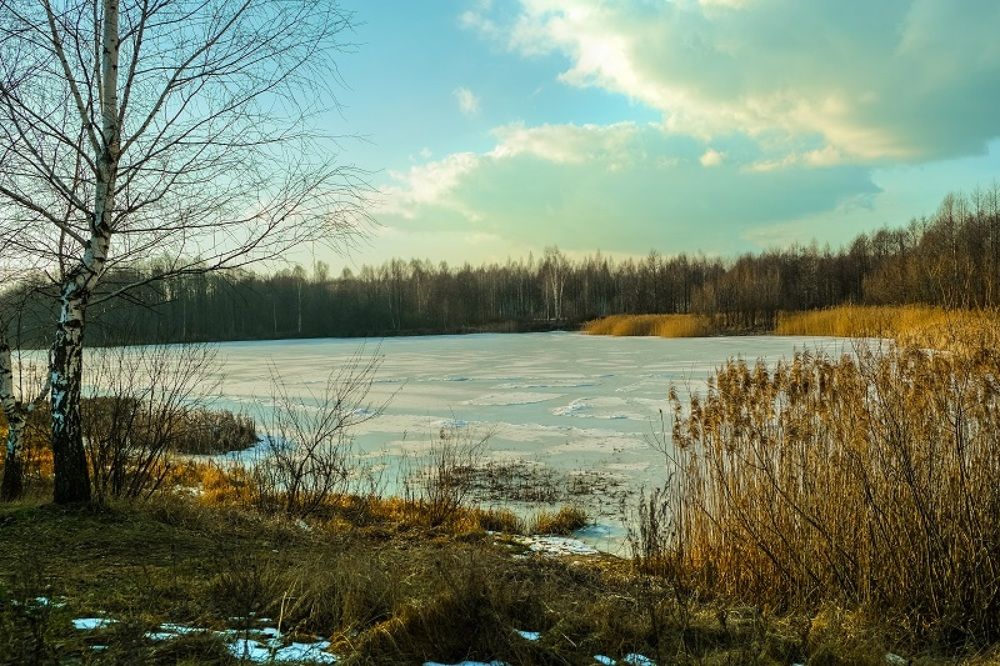 Фотография автора Ольга Забрянская