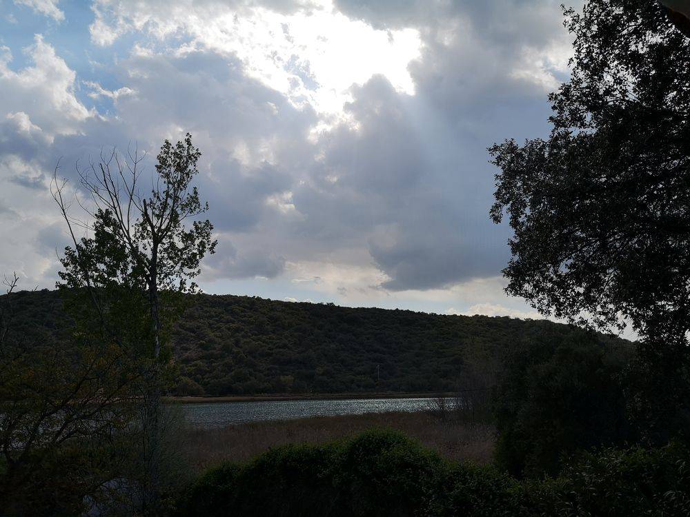 Photograph by Estrella