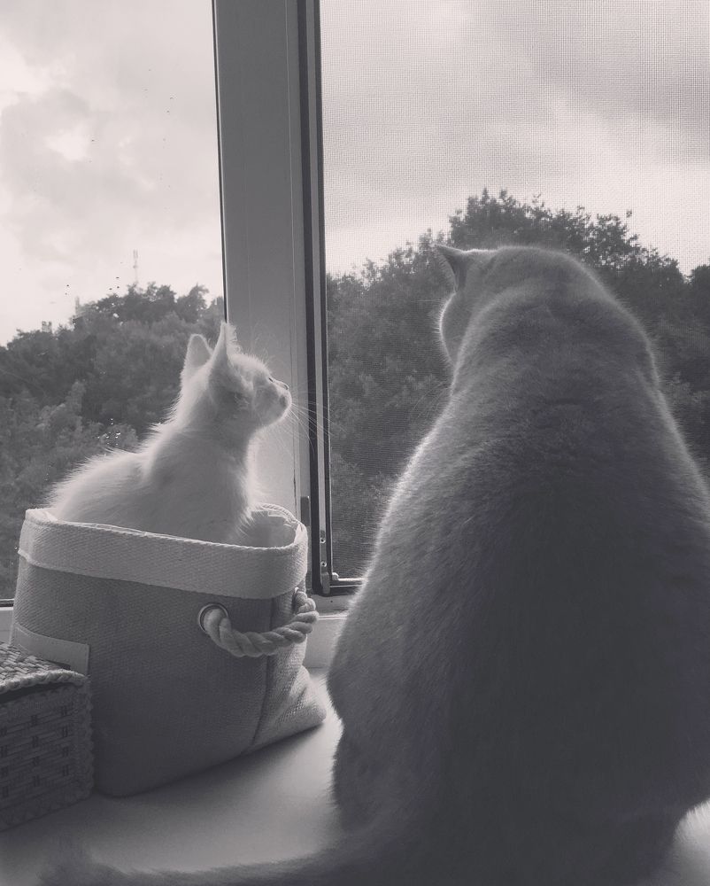 Фотография автора Ольга Забрянская