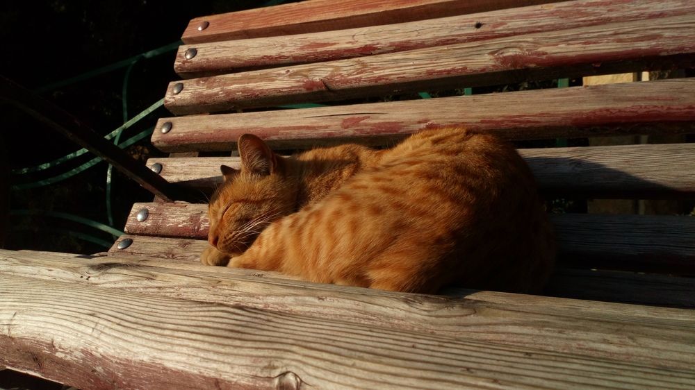 Фотография автора Eleonora