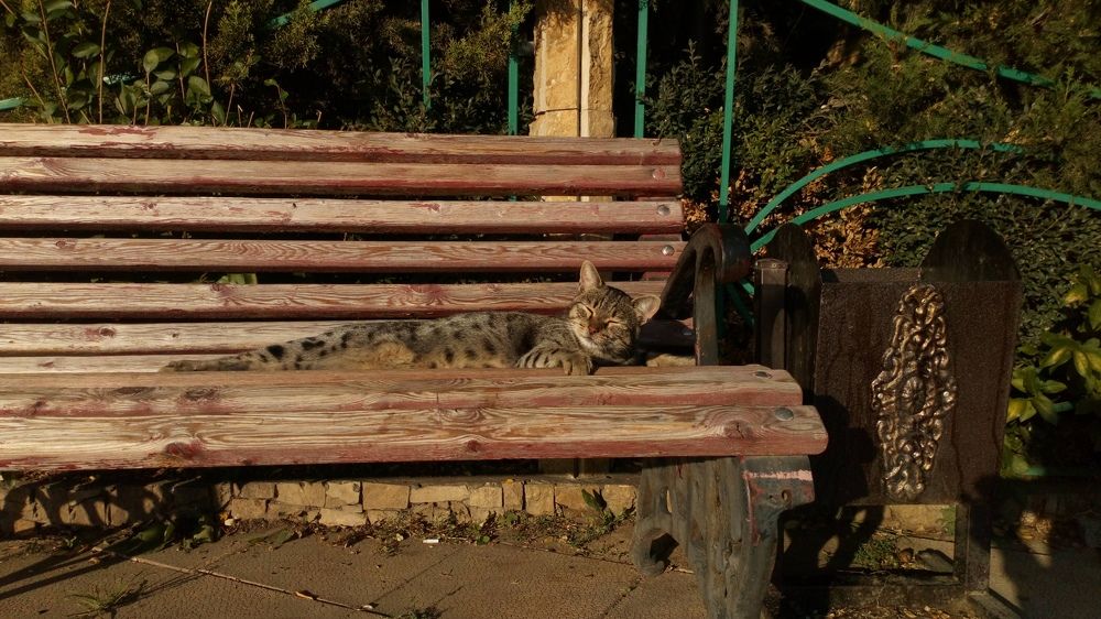 Фотография автора Eleonora