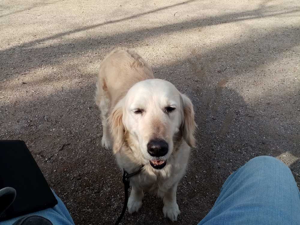 Photograph by Estrella