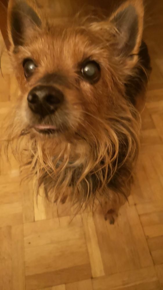 Photograph by Estrella