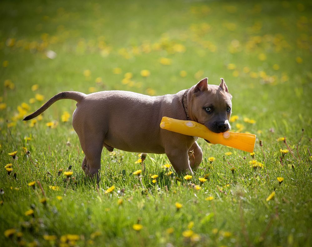 Первая весна...