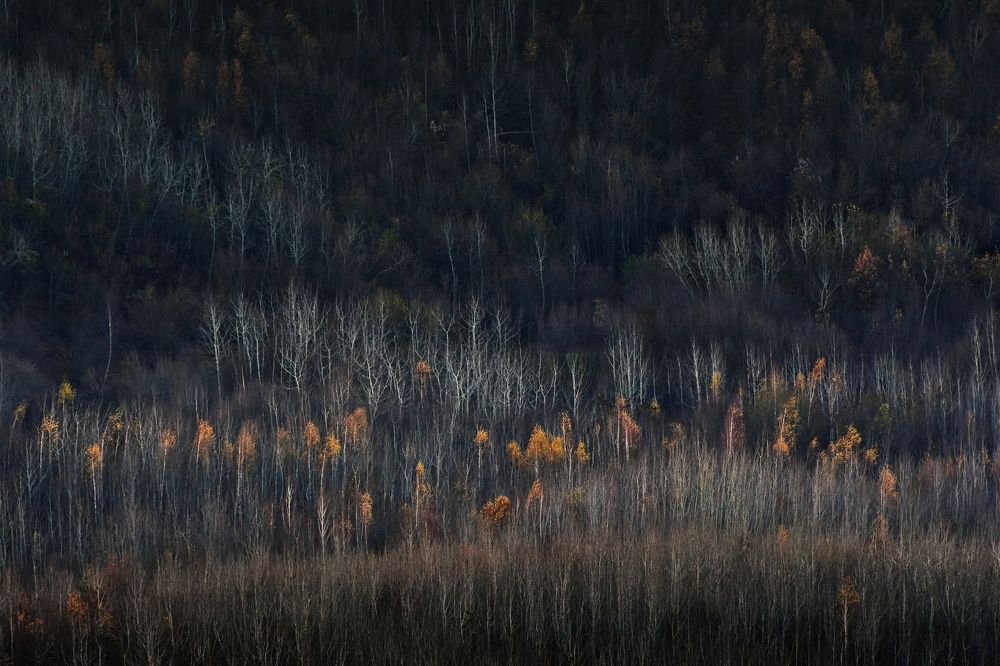 Photograph by Andreia Nicoleta Dobritoiu