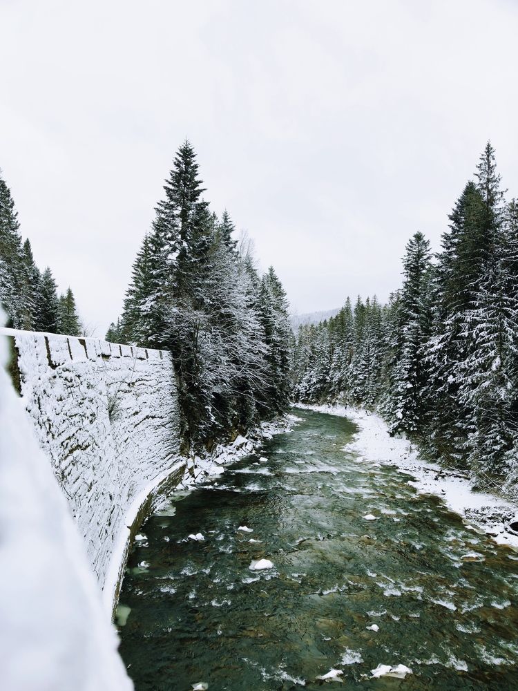 Photograph by Инна Макарчук