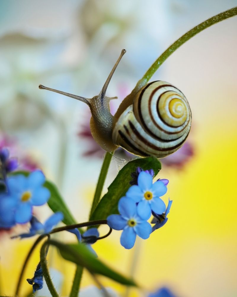 Photograph by Татьяна С